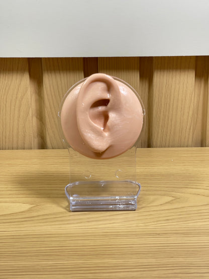 Oreja Maniquí maniquíes exhibidor Expositor aretes piercing