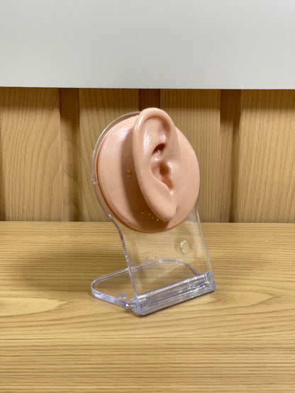 Oreja Maniquí maniquíes exhibidor Expositor aretes piercing