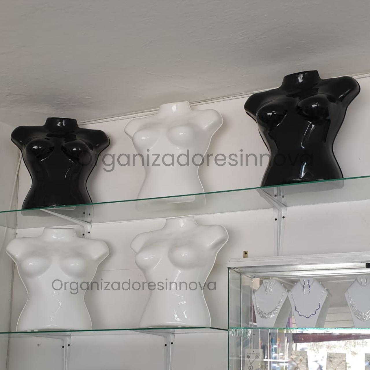 Torso maniquí de mujer medio cuerpo
