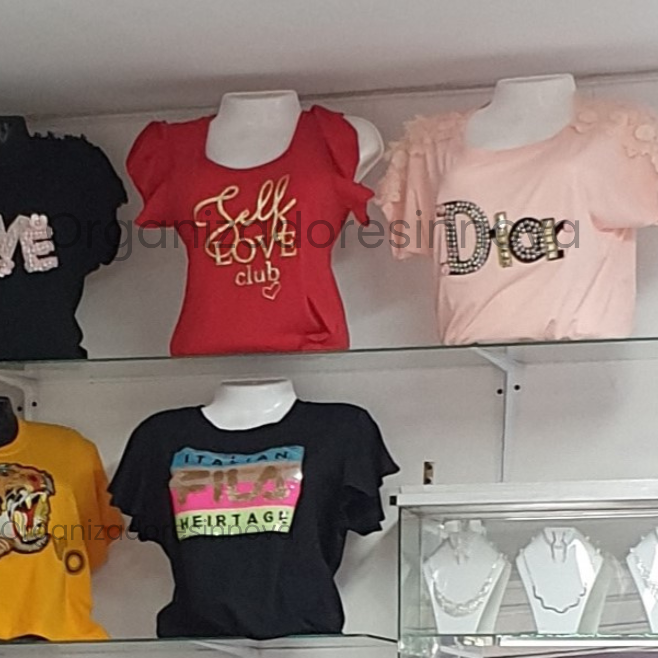 Torso maniquí de mujer medio cuerpo