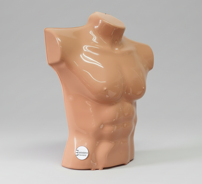 Torso maniquí Hombre medio cuerpo X 6 unidades